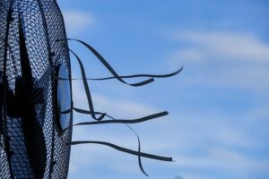 fan blowing in wind